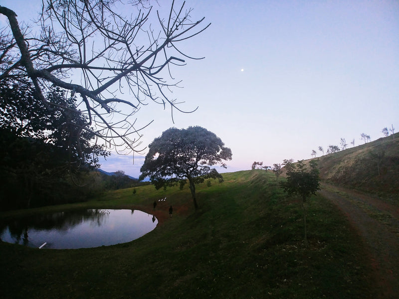 Lago no Olival Alma da Mantiqueira