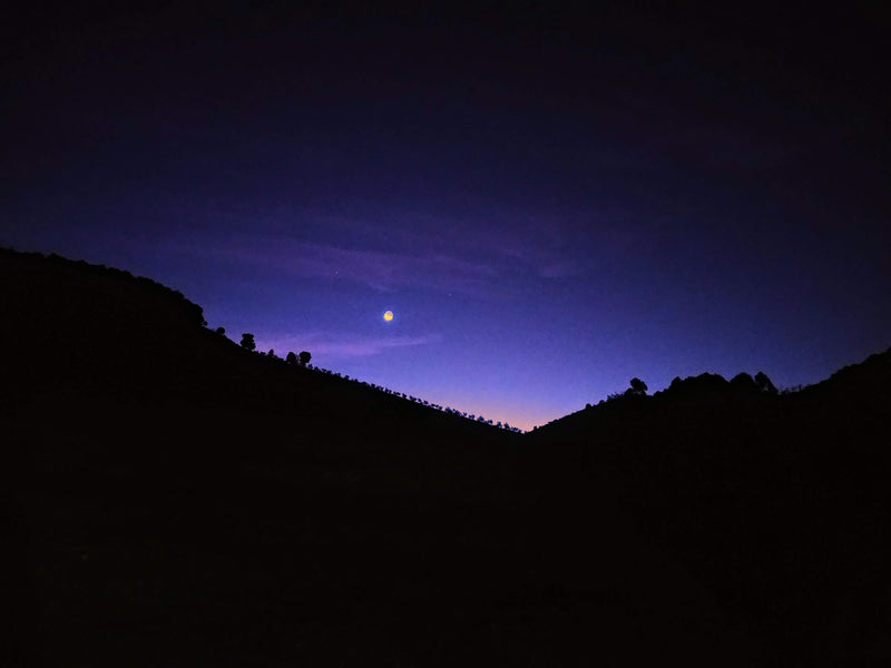 Paisagem Olival na Serra da Mantiqueira